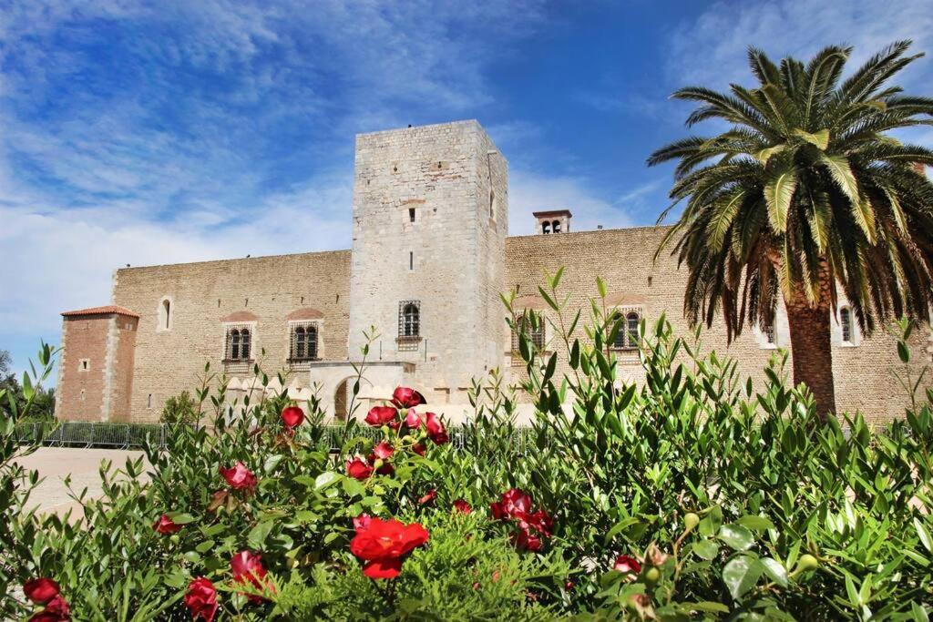 Appartement Boheme Proche Gare & Centre-Ville Perpignan Exterior foto